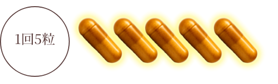 1日5粒