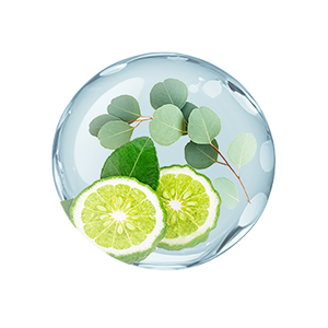 爽快・リフレッシュ