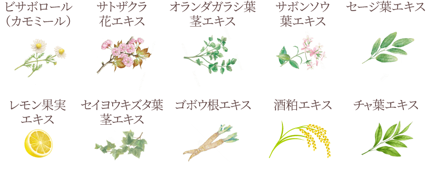 成分イラスト