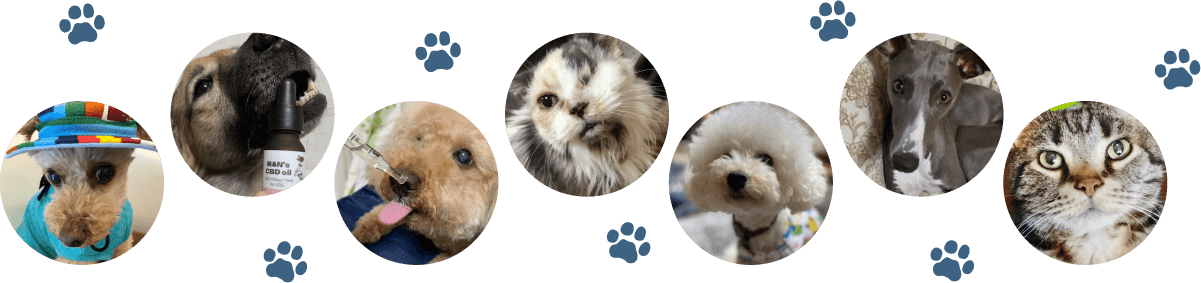 ご協力くださった子たち