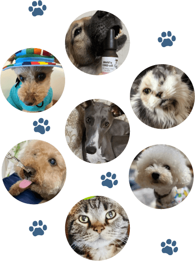 ご協力くださった子たち