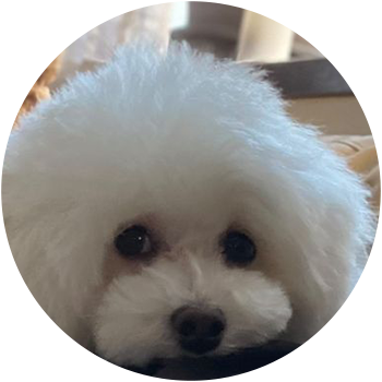 ブランくん(ぶーちゃん) 5歳 男の子