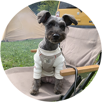 ノワール 4歳 女の子