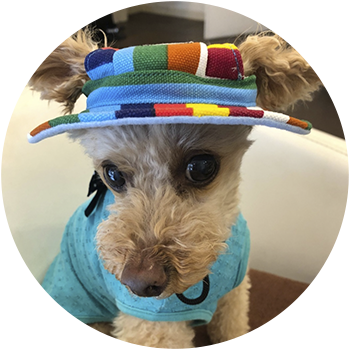 ジェイ 13歳 男の子