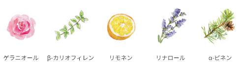 オレンジ カモミール β-カリオフィレン ネロリドール リナロール α-ピネン