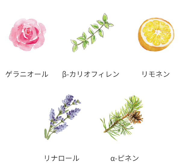 ゲラニオール β-カリオフィレン リモネン リナロール α-ピネン