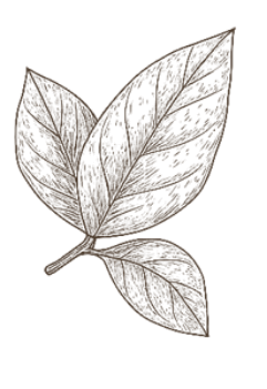 ふわふわと動く背景画像