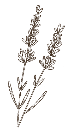 ふわふわと動く背景画像