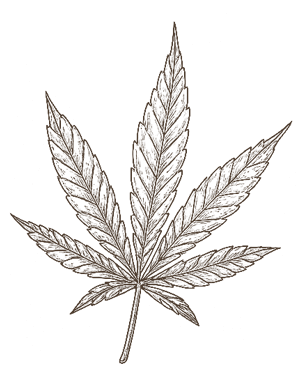 ふわふわと動く背景画像