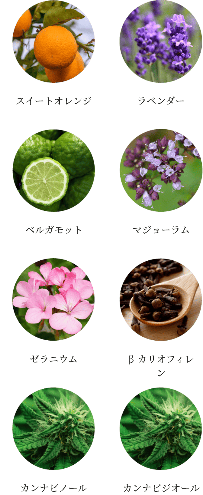 スイートオレンジ　真正ラベンダー　ベルガモット　マジョーラム　ゼラニウム　β-カリオフィレン　カンナビノール　カンナビジオール