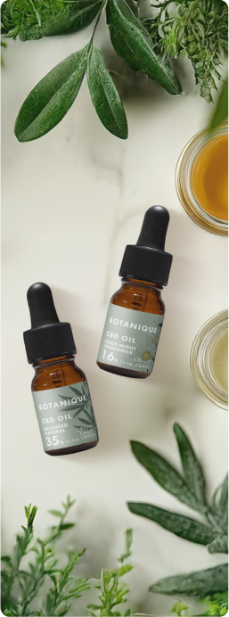 WELLPHARMAイメージ画像