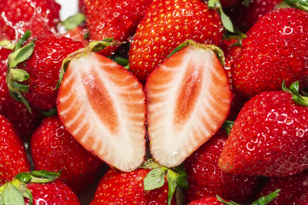 CBDの抗菌作用で鮮度が長持ち！？