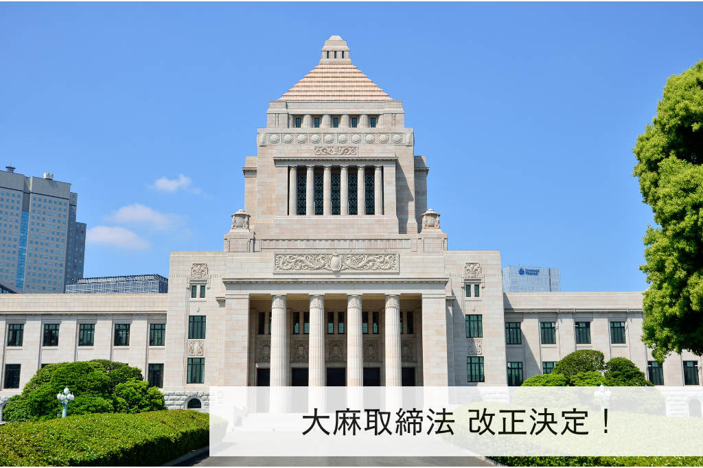 大麻取締法の改正決定！CBDはどうなる？